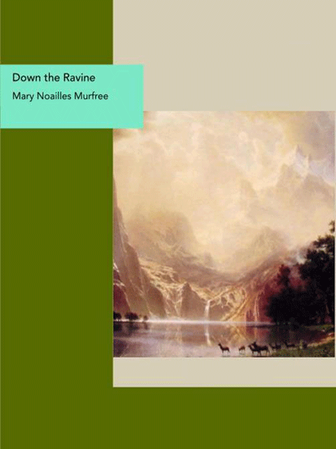 Down the Ravine