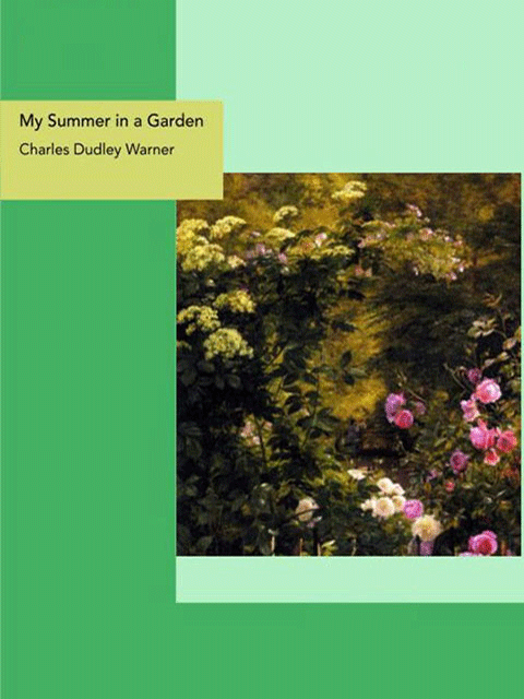 My Summer in a Garden