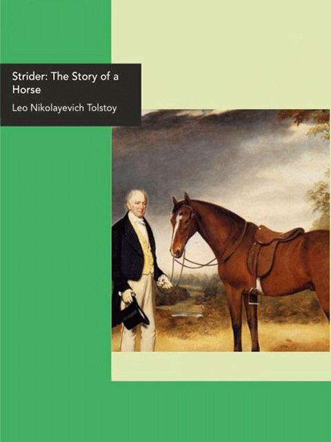 Strider: The Story of a Horse