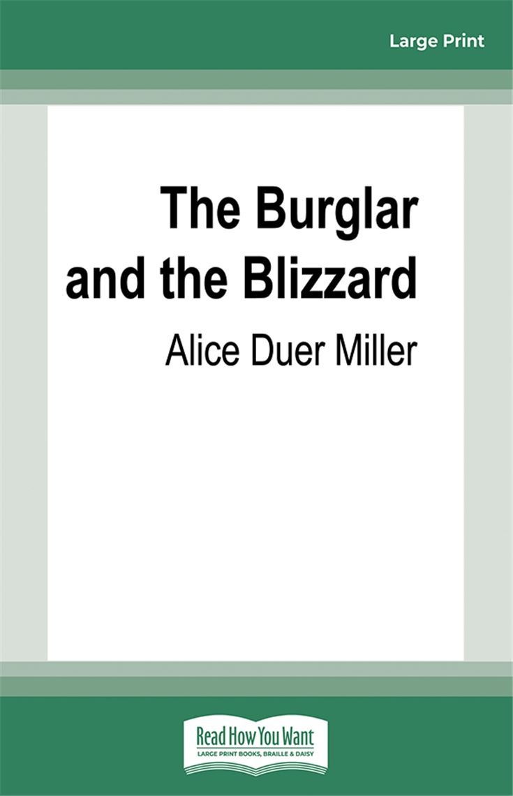 The Burglar and the Blizzard