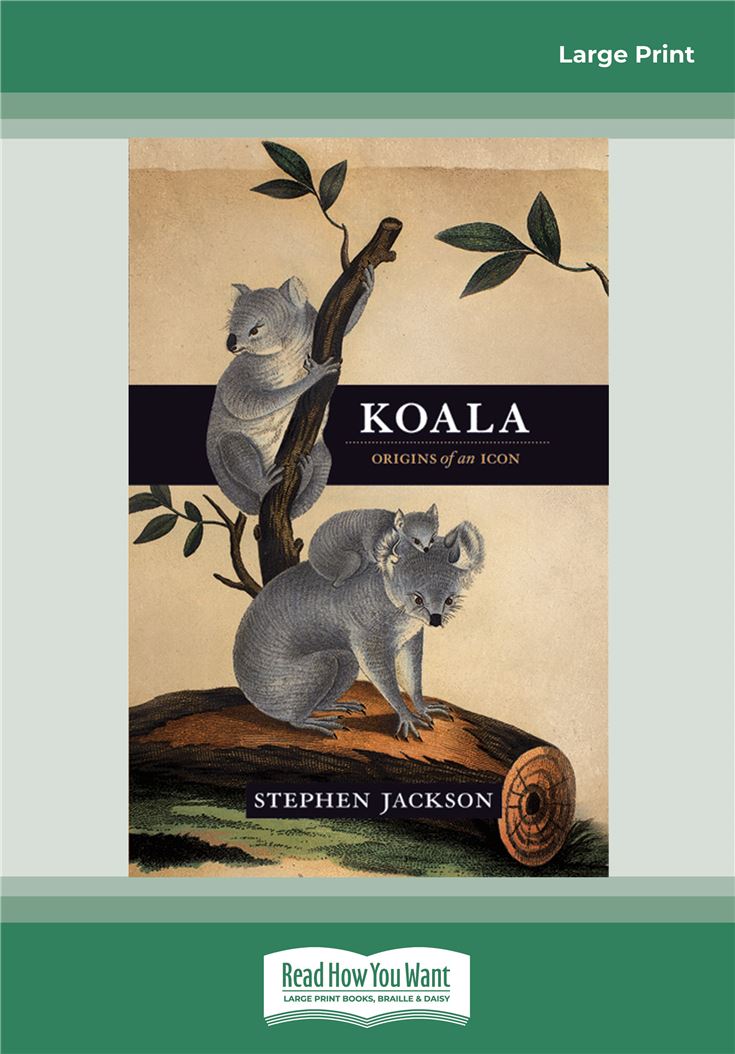 Koala