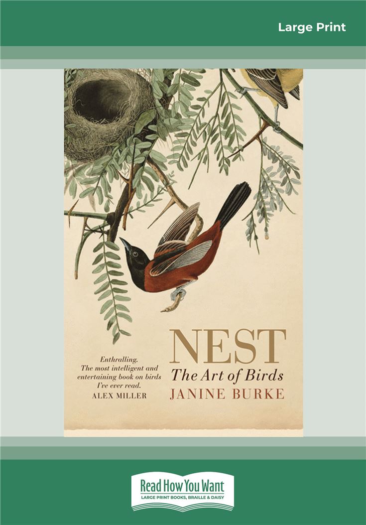 Nest