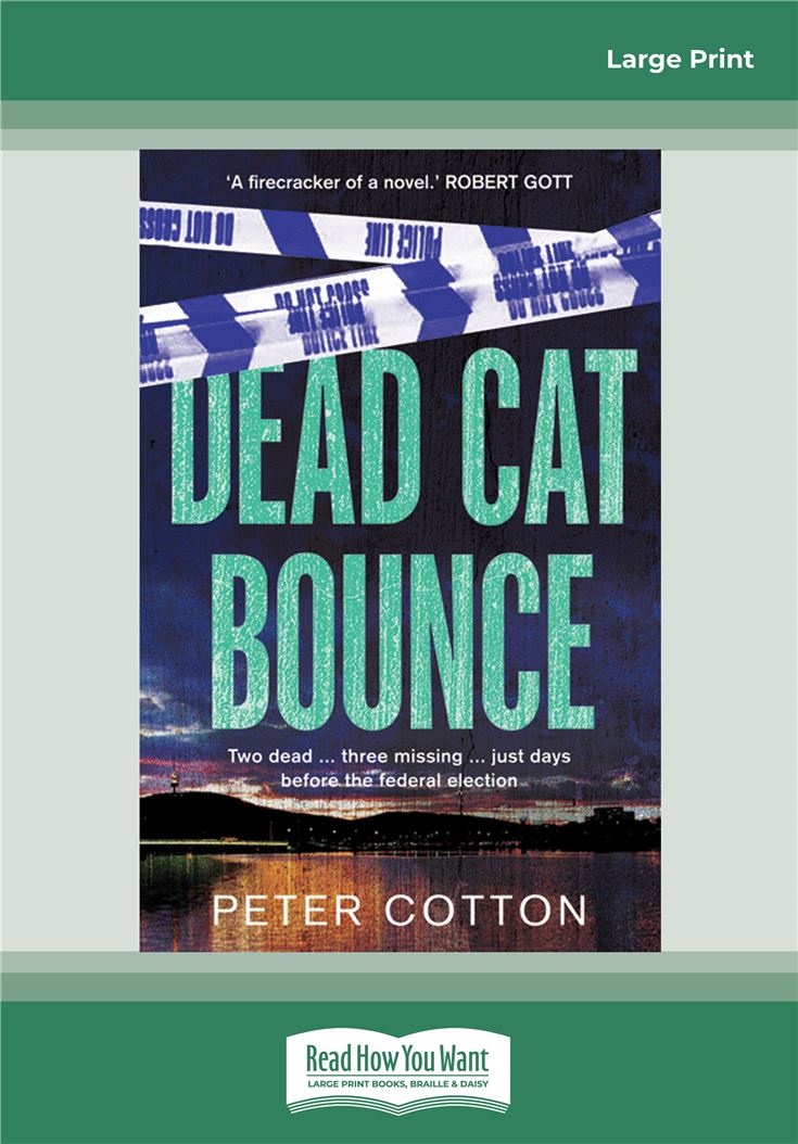 Dead Cat Bounce
