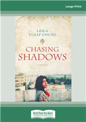 Chasing Shadows