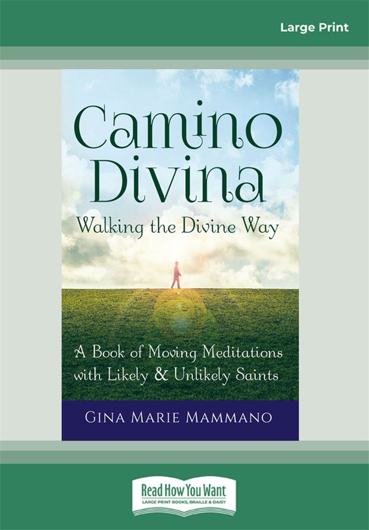 Camino Divina—Walking the Divine Way