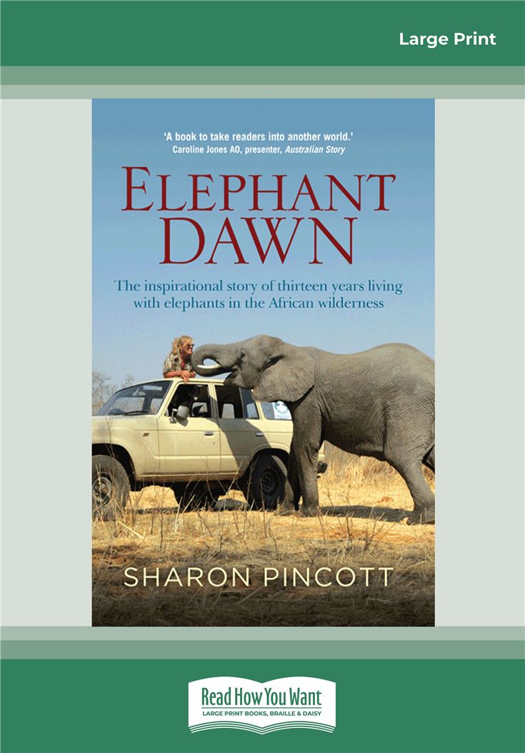 Elephant Dawn