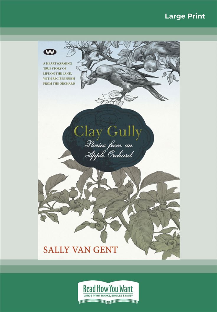 Clay Gully
