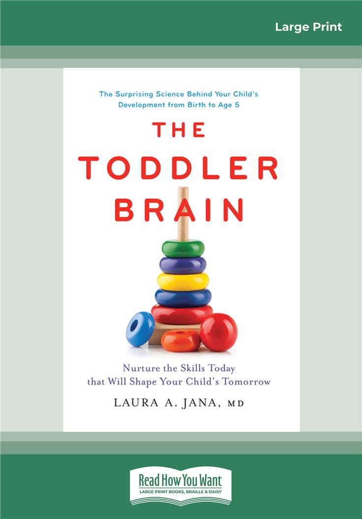 The Toddler Brain