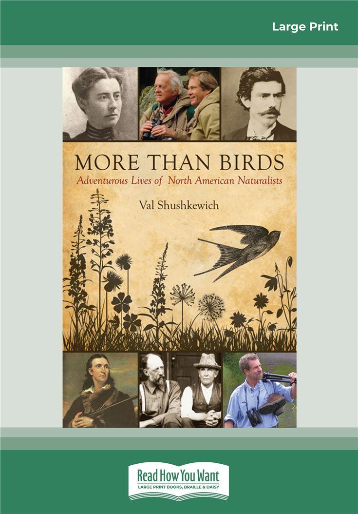 More Than Birds