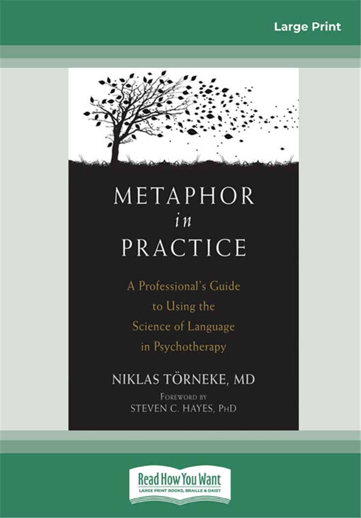Metaphor in Practice