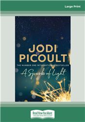 A Spark of Light