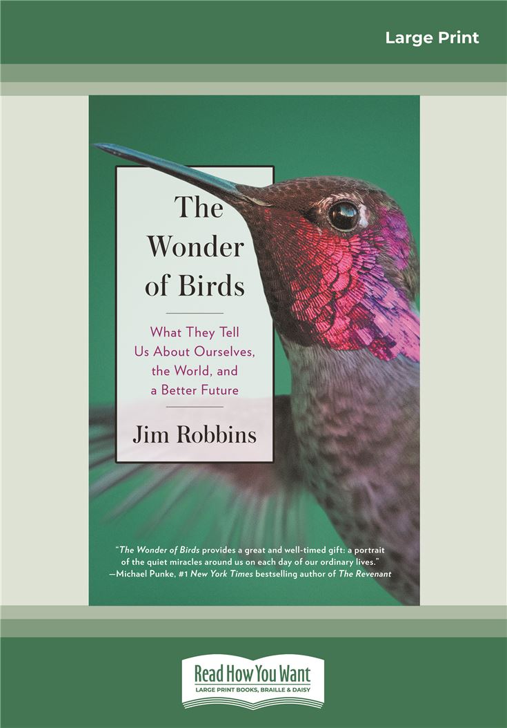 The Wonder of Birds