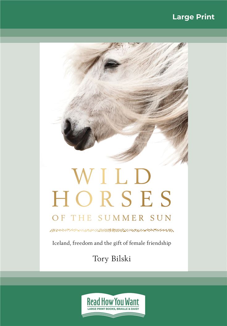 Wild Horses of the Summer Sun