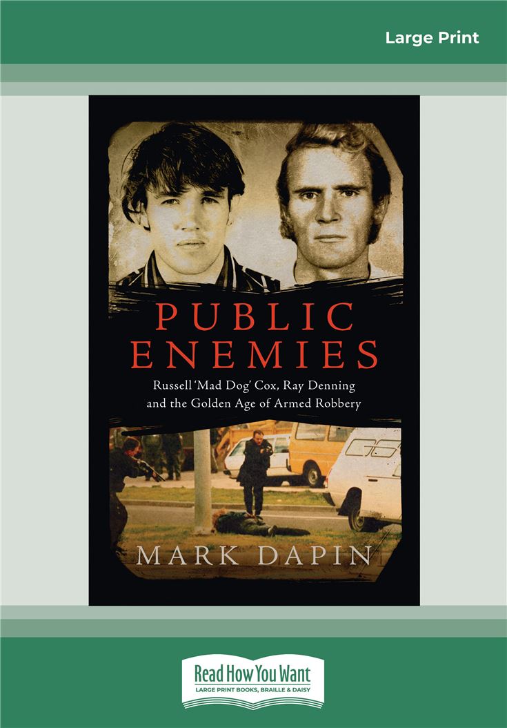 Public Enemies