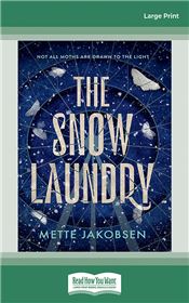 The Snow Laundry