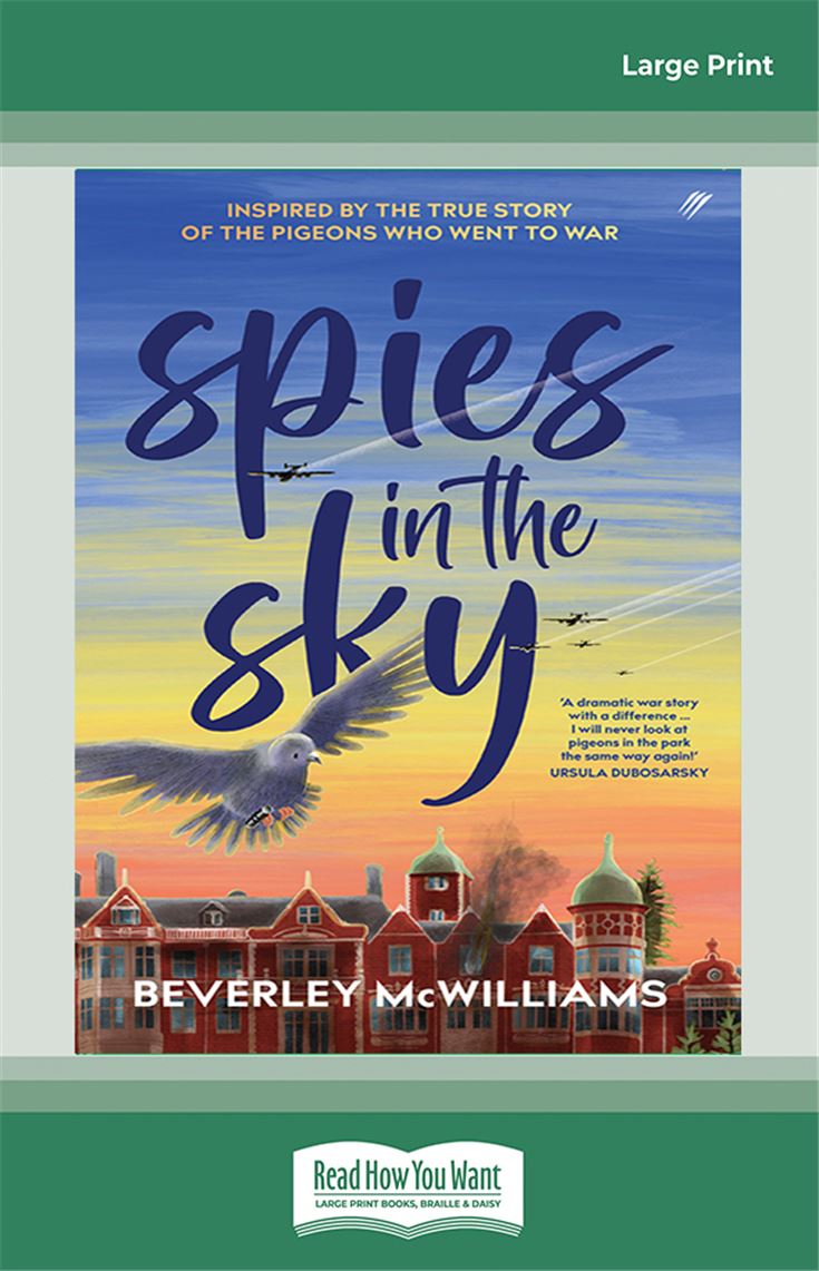 Spies in the Sky