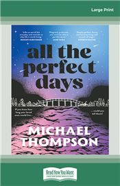 All the Perfect Days