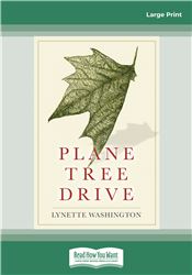 Plane Tree Drive