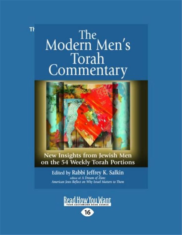 The Modern Men's Torah Commentary