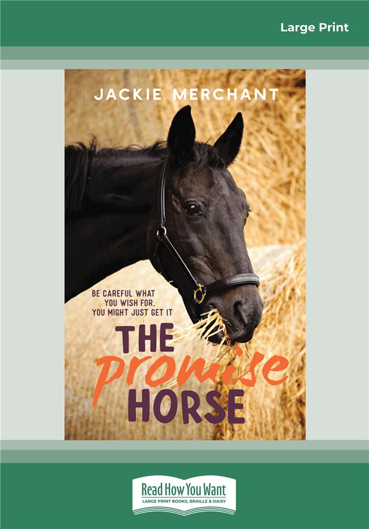 The Promise Horse