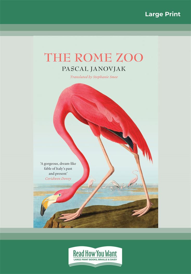 The Rome Zoo